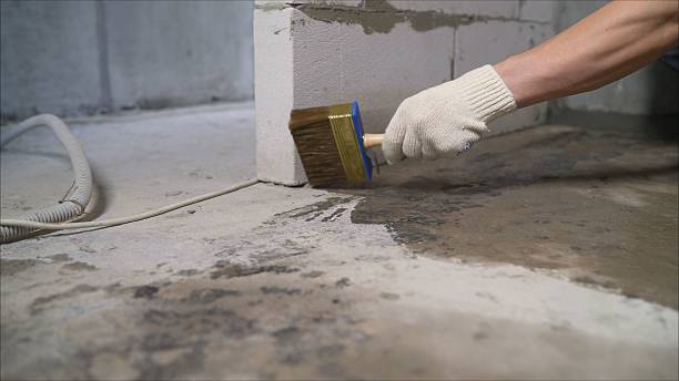 SJ Waterproofing Pros Crawl Space Encapsulation coverage map for Elnora, IN and surrounding area